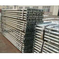 U-Head ou Plain Head Galvanized Steel Prop